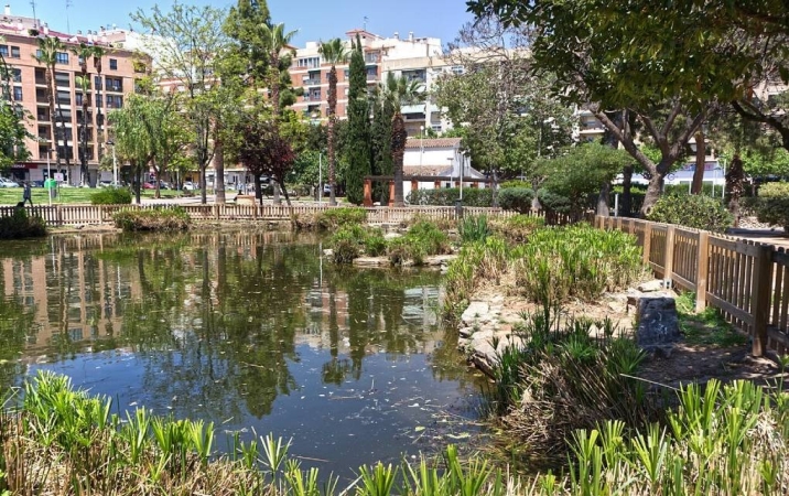 Recorrido guiado: Utilización de especies vegetales en jardinería y paisajismo. Ejemplos comentados paseando